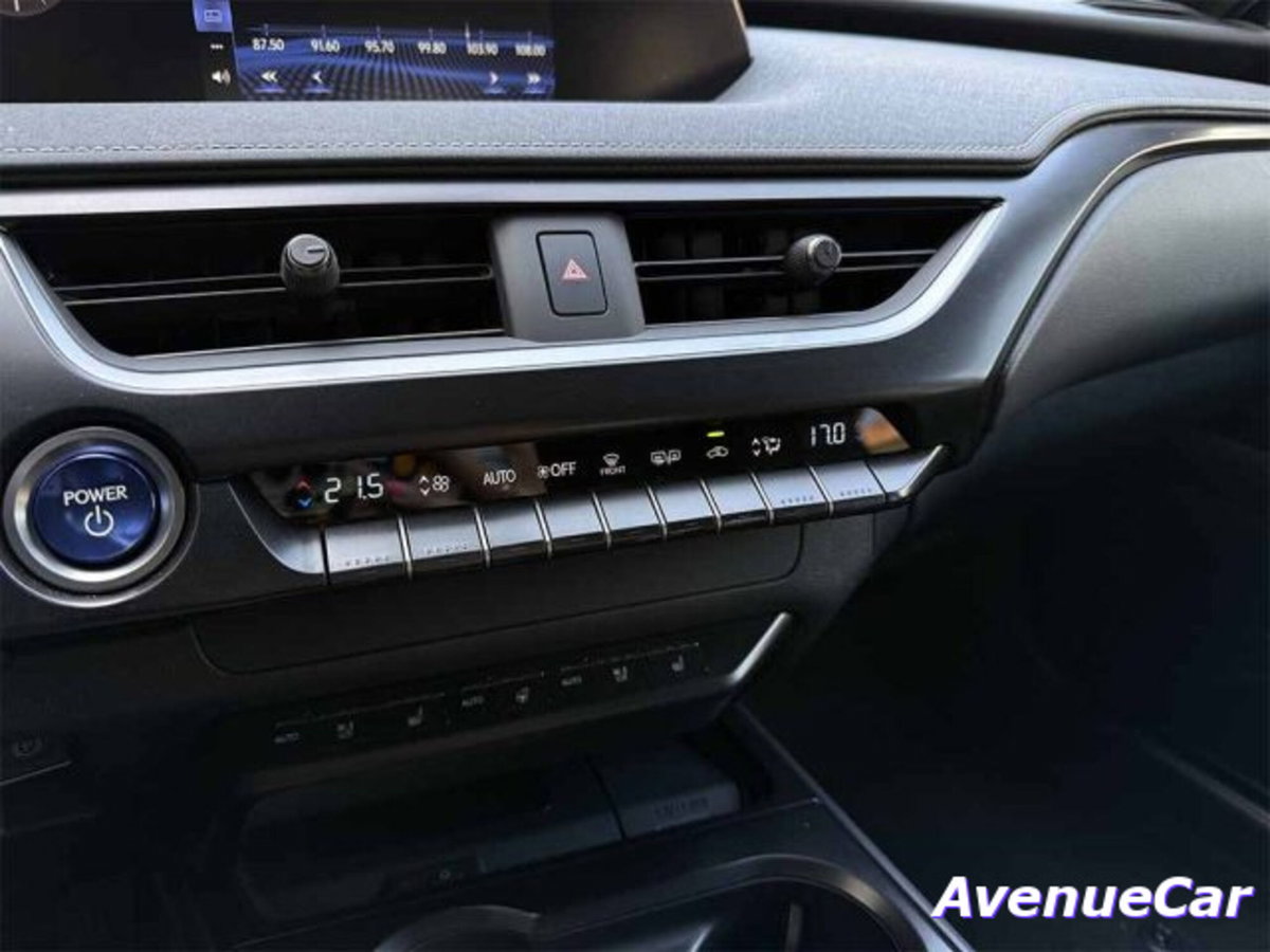 Lexus UX Full Electric Premium (18)