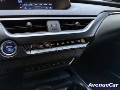 Lexus UX Full Electric Premium (18)