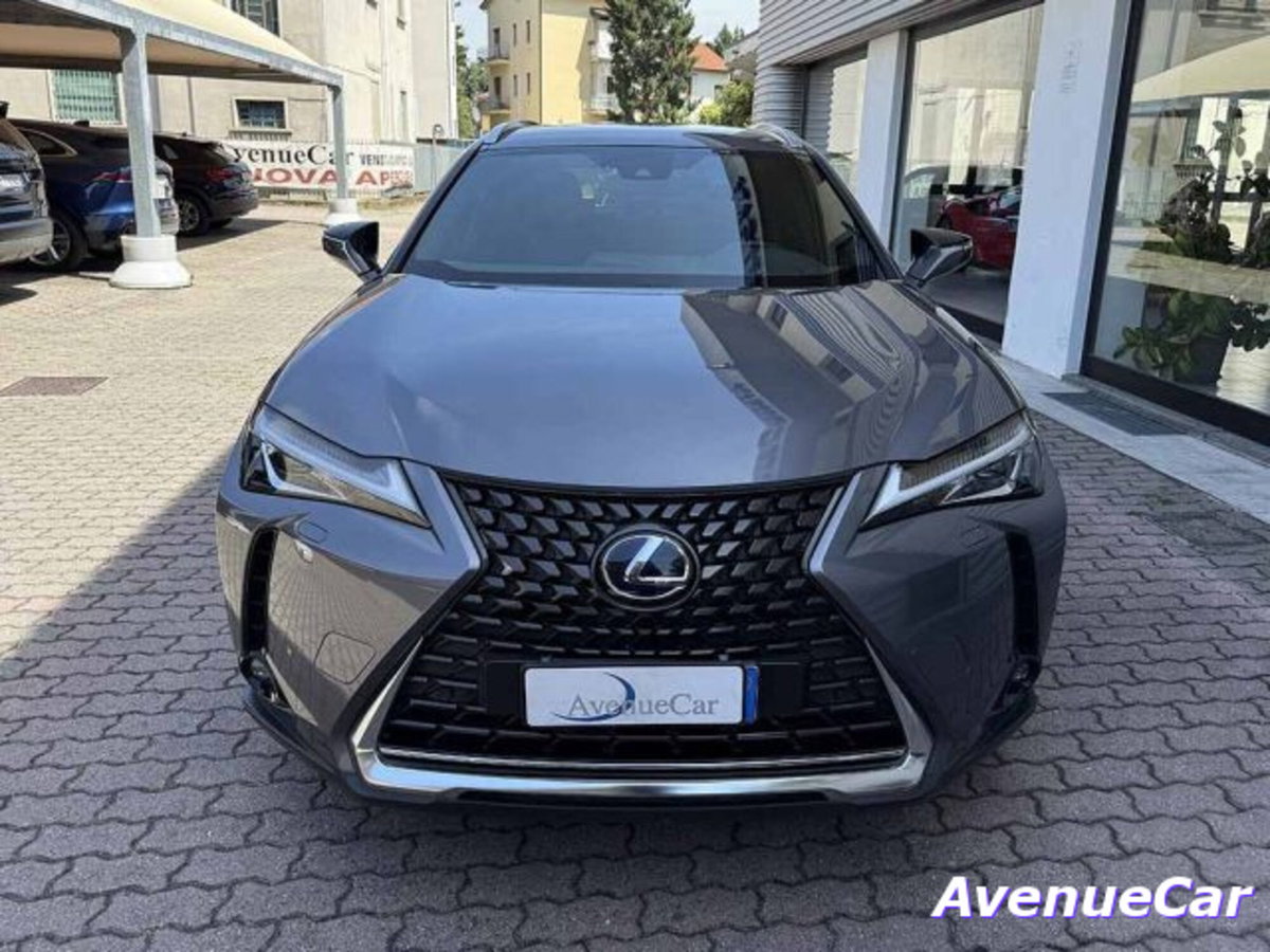 Lexus UX Full Electric Premium (2)