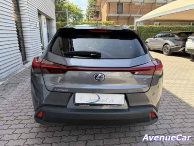 Lexus UX Full Electric Premium (6)