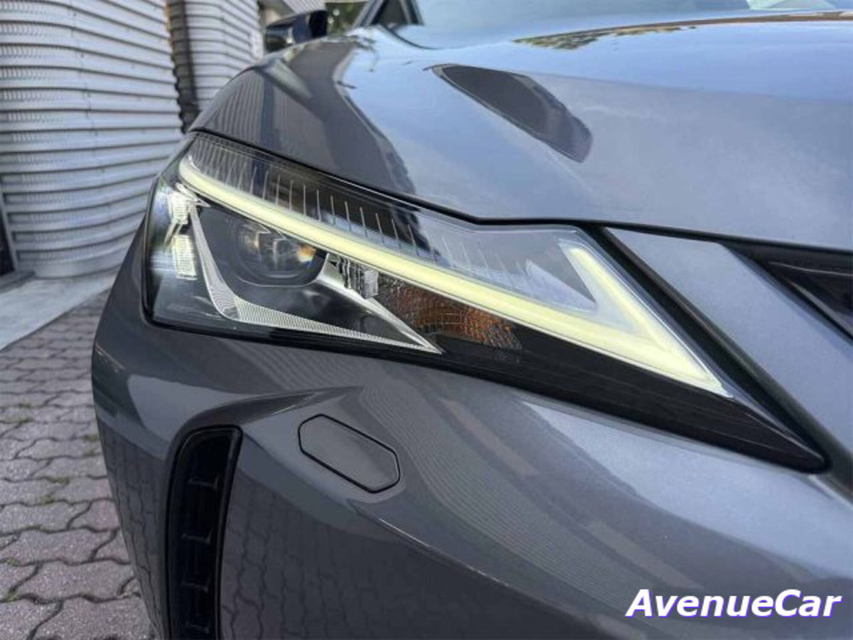 Lexus UX Full Electric Premium (9)