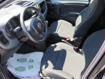 Fiat Panda 1.0 firefly hybrid s&s 70cv 5p.ti (11)