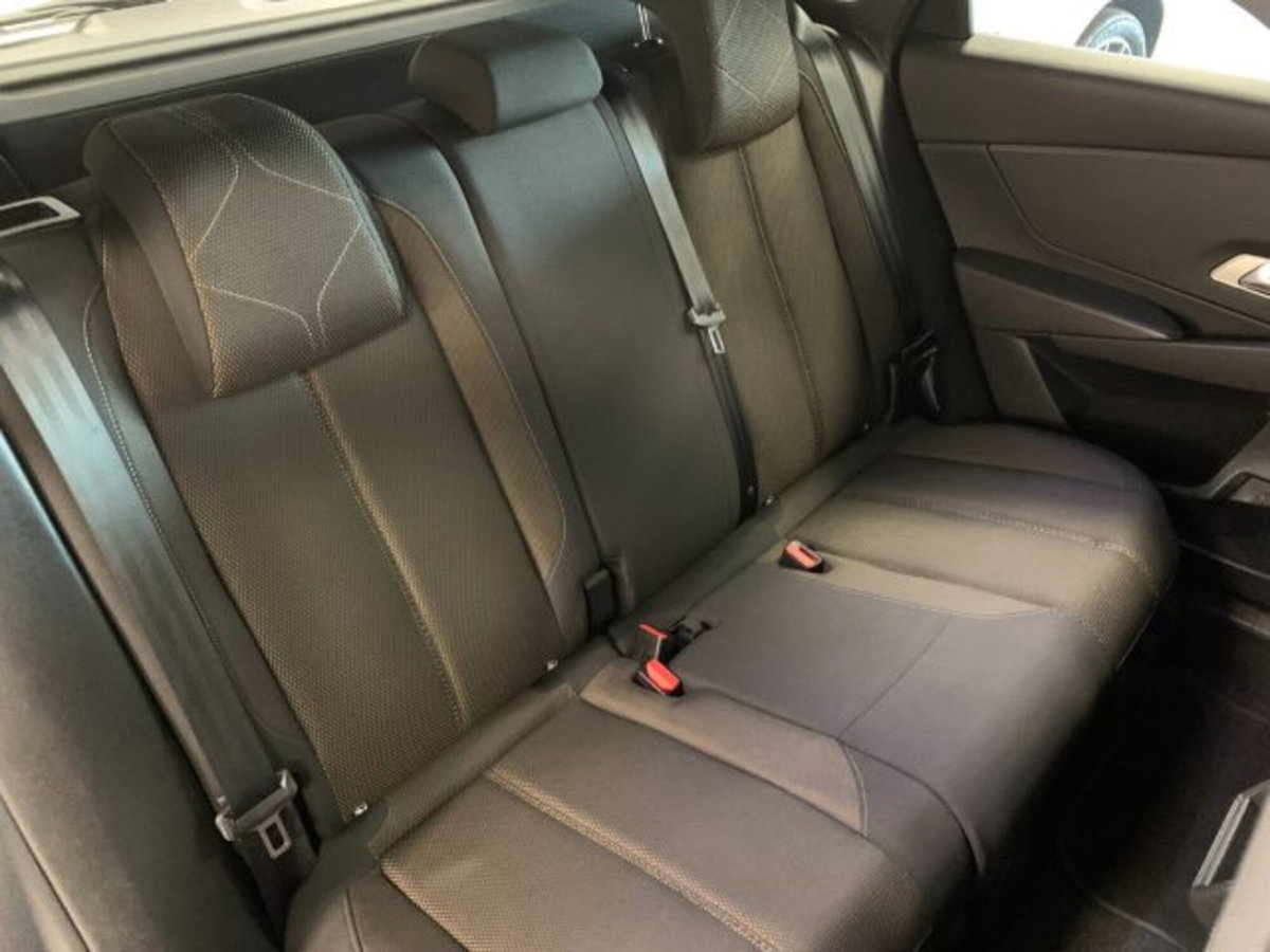 Ds DS 7 1.5 bluehdi Bastille Business 130cv auto (20)