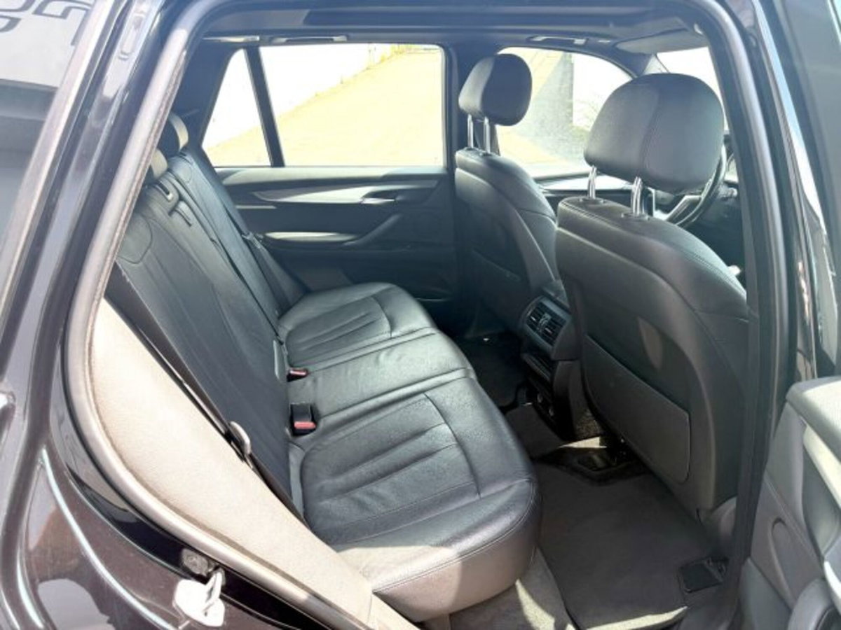 BMW X5 xDrive40e iPerformance Business (17)
