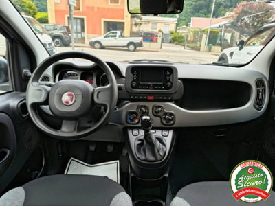 Fiat Panda 1.0 firefly hybrid s&s 70cv 5p.ti (10)