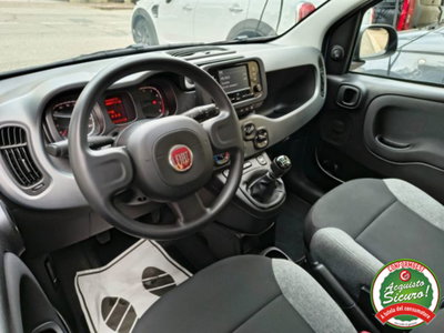 Fiat Panda 1.0 firefly hybrid s&s 70cv 5p.ti (11)