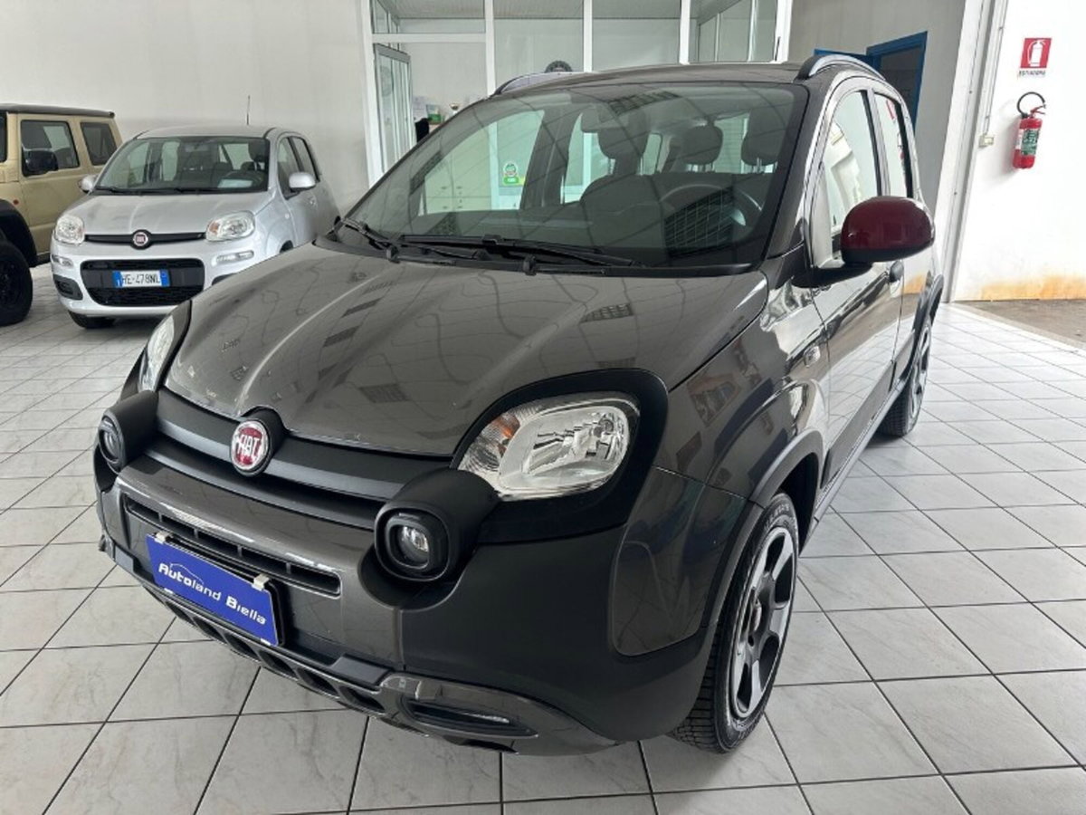 Fiat Panda Cross Cross 1.0 FireFly S&S Hybrid (3)