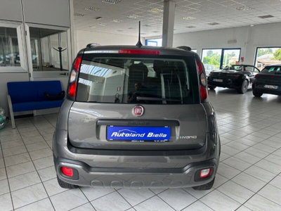 Fiat Panda Cross Cross 1.0 FireFly S&S Hybrid (6)
