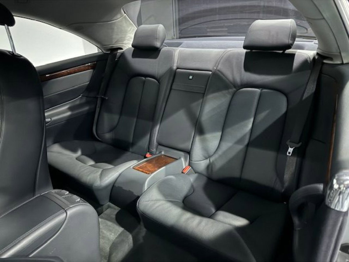 Mercedes-Benz CL 500 cat (14)
