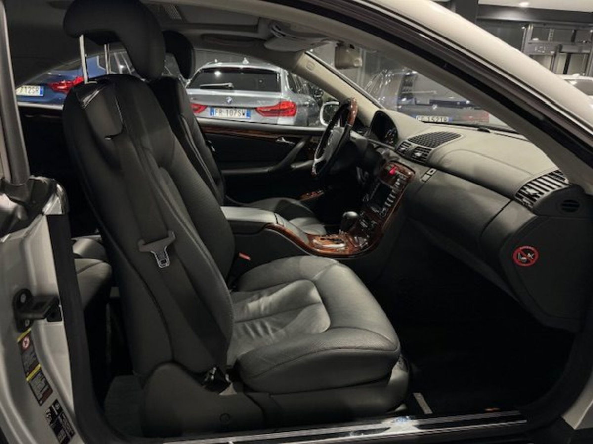 Mercedes-Benz CL 500 cat (16)