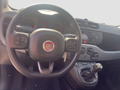 Fiat Panda 1.0 FireFly S&S Hybrid City Cross (12)