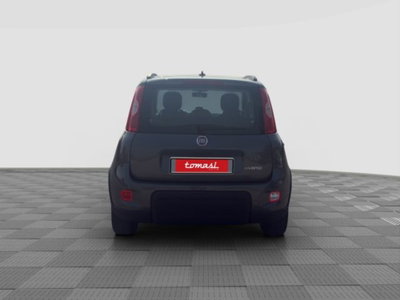 Fiat Panda 1.0 FireFly S&S Hybrid City Cross (5)
