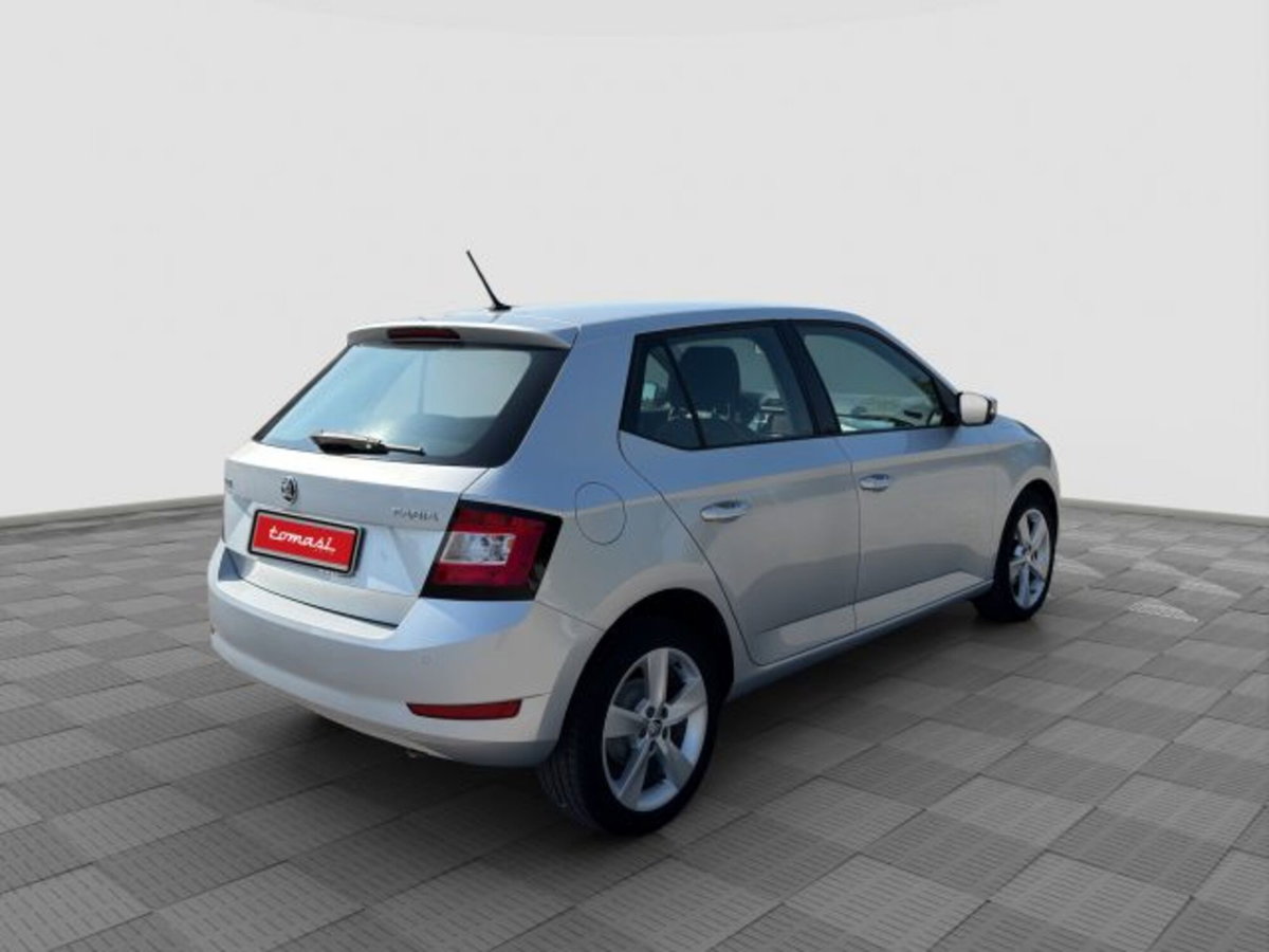 Skoda Fabia 1.0 MPI 75 CV Design Edition (5)