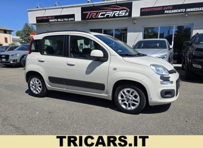Fiat Panda 1.2 usata