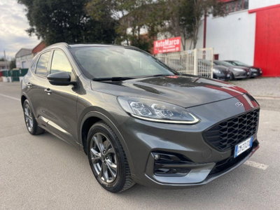 Ford Kuga 2.0 EcoBlue 120 CV aut. 2WD ST-Line X usata
