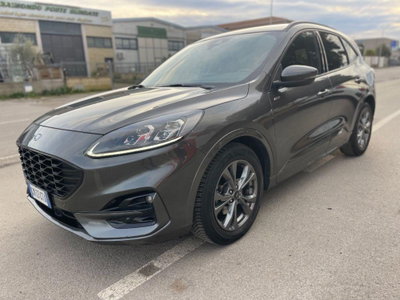 Ford Kuga 2.0 EcoBlue 120 CV aut. 2WD ST-Line X (3)
