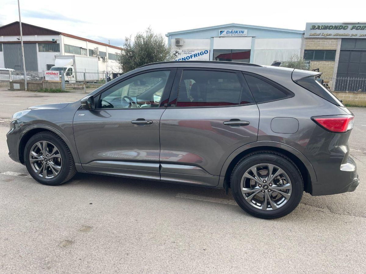 Ford Kuga 2.0 EcoBlue 120 CV aut. 2WD ST-Line X (4)