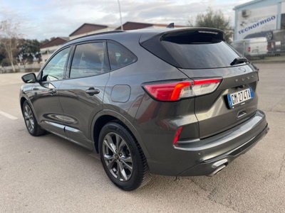 Ford Kuga 2.0 EcoBlue 120 CV aut. 2WD ST-Line X (5)