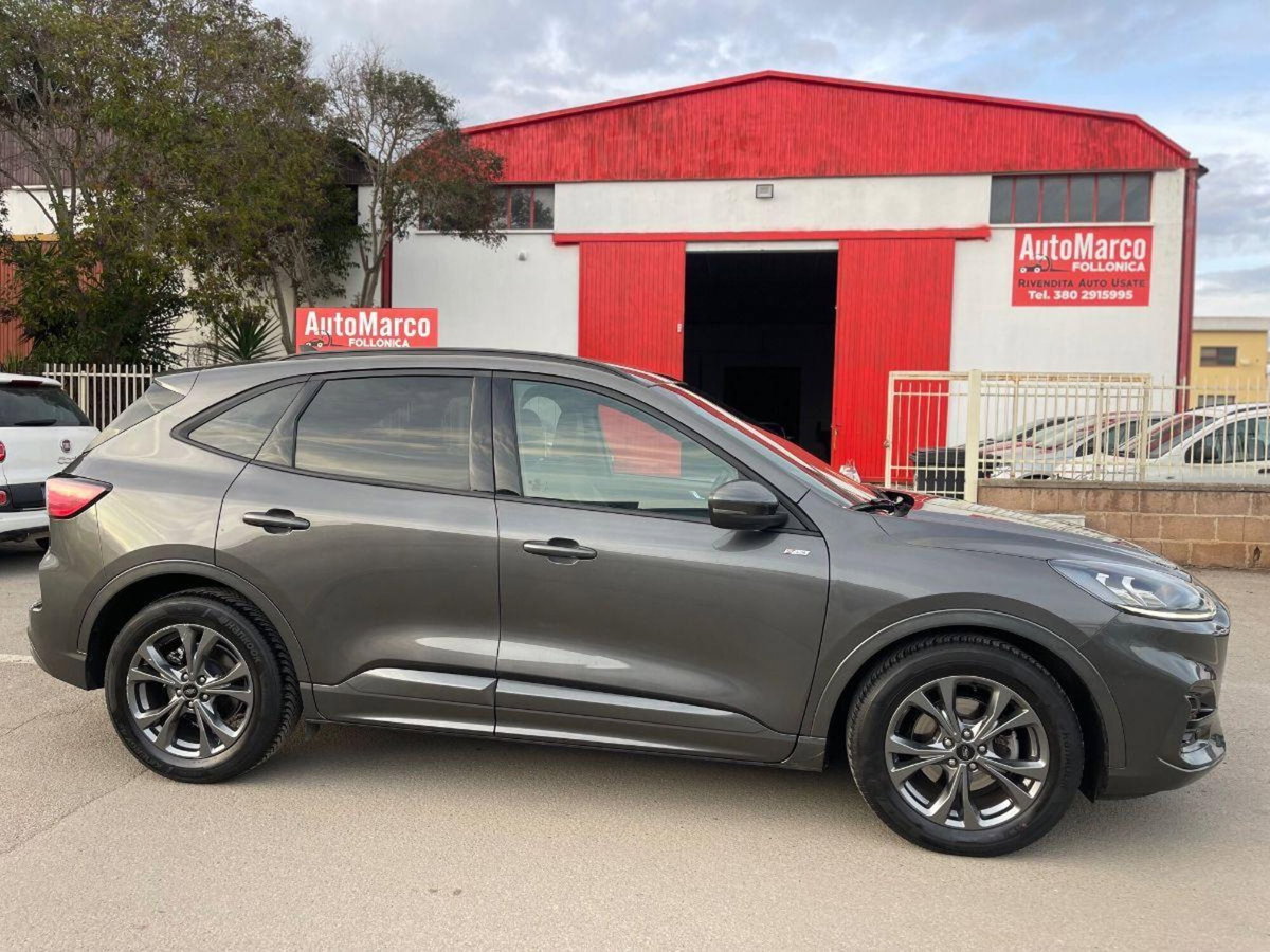Ford Kuga 2.0 EcoBlue 120 CV aut. 2WD ST-Line X (8)