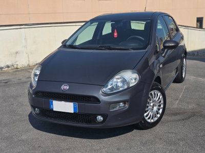 Fiat Punto 1.4 8V 5 porte Easypower Street usata