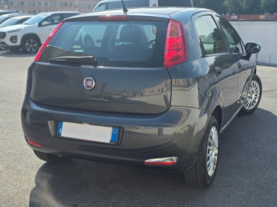 Fiat Punto 1.4 8V 5 porte Easypower Street (5)