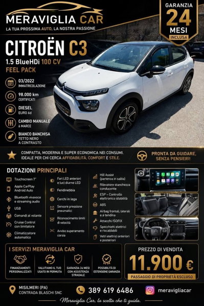 Citroen C3 BlueHDi 100 S&S Shine Pack (14)