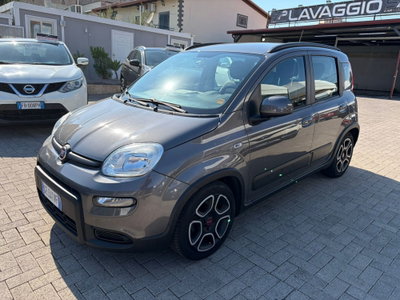 Fiat Panda Cross Cross 1.0 FireFly S&S Hybrid usata