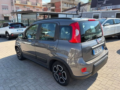 Fiat Panda Cross Cross 1.0 FireFly S&S Hybrid (3)