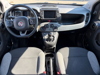Fiat Panda Cross Cross 1.0 FireFly S&S Hybrid (7)