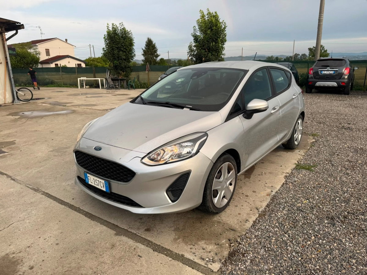 Ford Fiesta 1.1 85 CV 5 porte Plus (3)