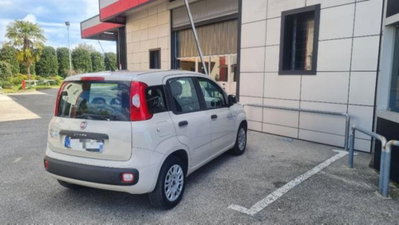Fiat Panda 1.2 Easy (2)