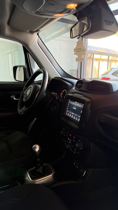 Jeep Renegade 1.6 Mjt 120 CV Limited (14)
