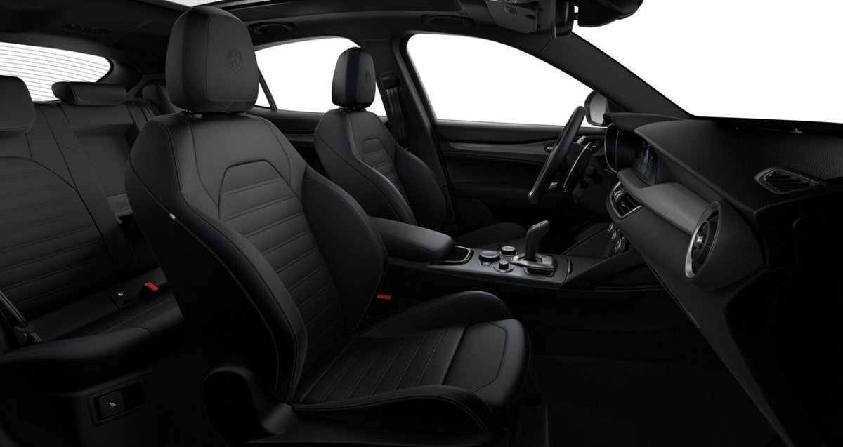 Alfa Romeo Stelvio Stelvio 2.2 Turbodiesel 210 CV AT8 Q4 Veloce (5)
