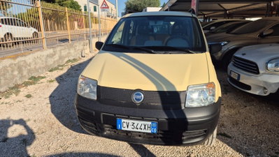 Fiat Panda 1.2 4x4 usata