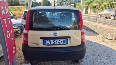 Fiat Panda 1.2 4x4 (11)