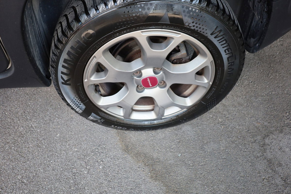 Fiat Panda Cross Cross 1.3 MJT 95 CV S&S 4x4 (15)