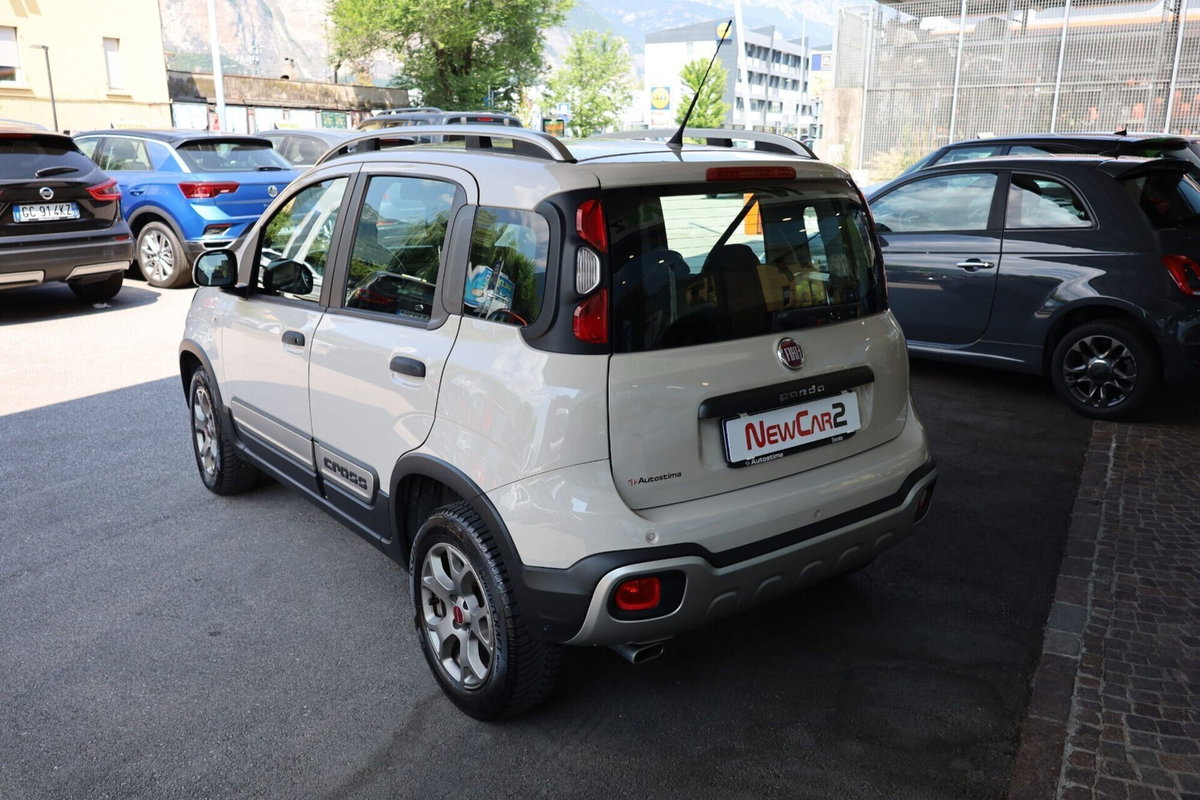 Fiat Panda Cross Cross 1.3 MJT 95 CV S&S 4x4 (4)