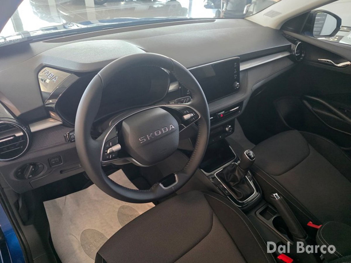 Skoda Fabia 1.0 tsi Be More 95cv (12)