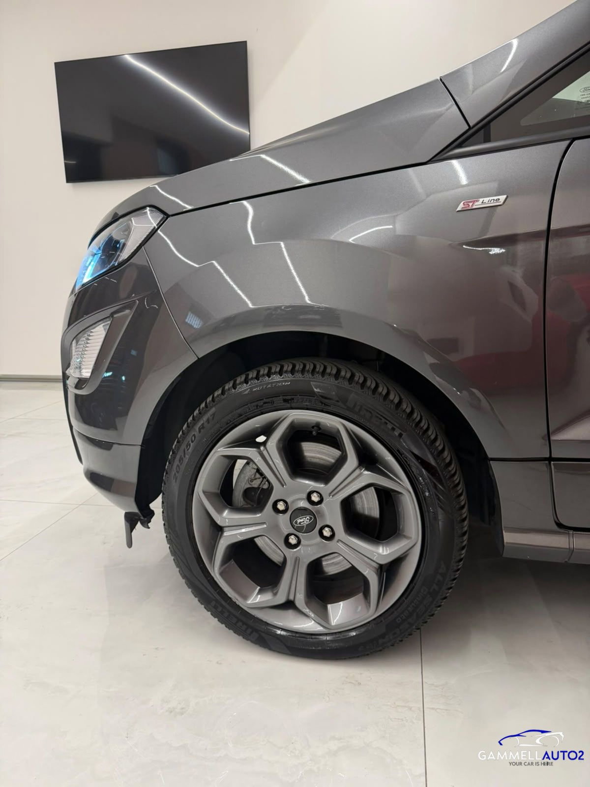 Ford EcoSport 1.0 EcoBoost 125 CV Start&Stop ST-Line (18)