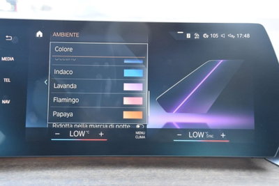 BMW Serie 2 Active Tourer 218d  Luxury auto (13)