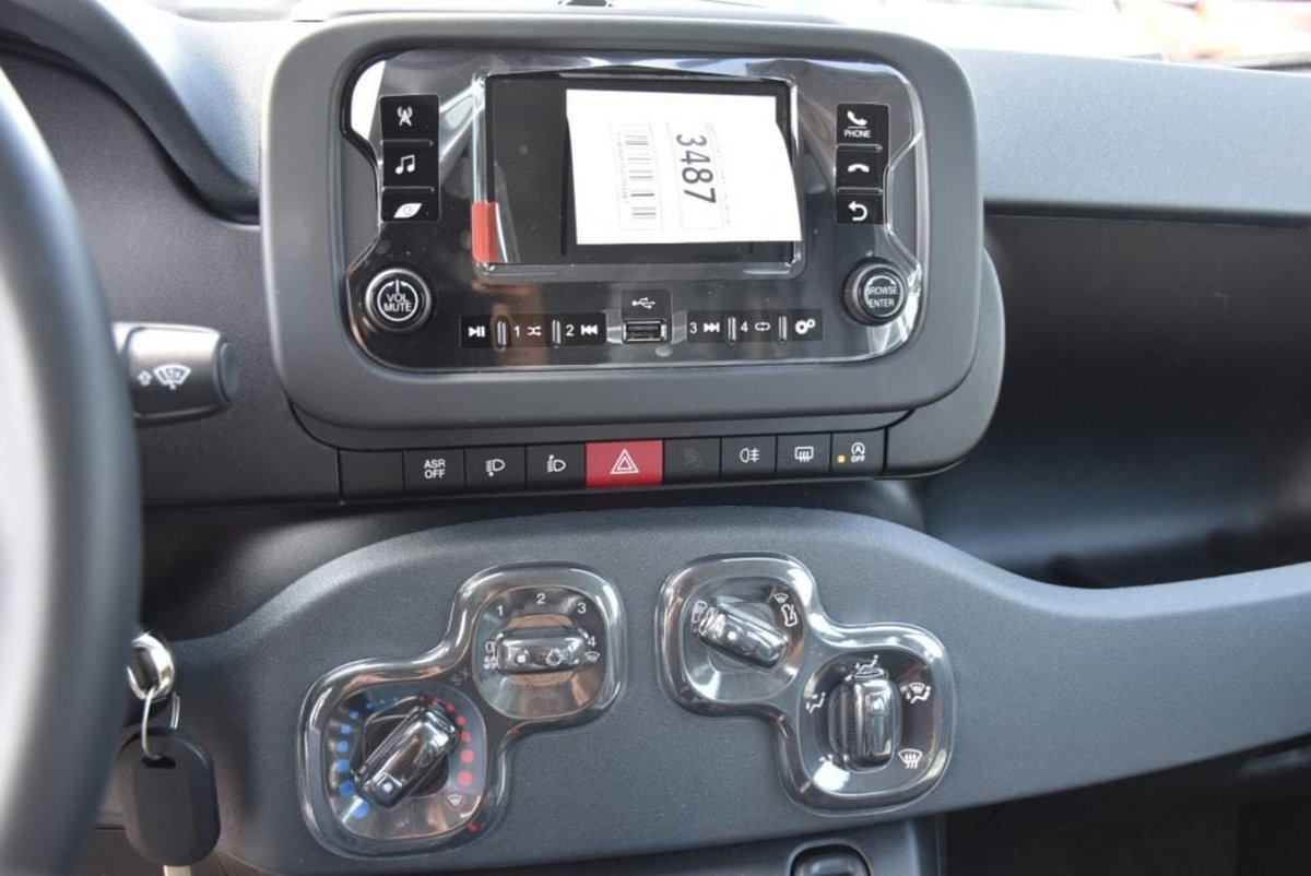 Fiat Panda Cross Cross 1.0 FireFly S&S Hybrid (10)
