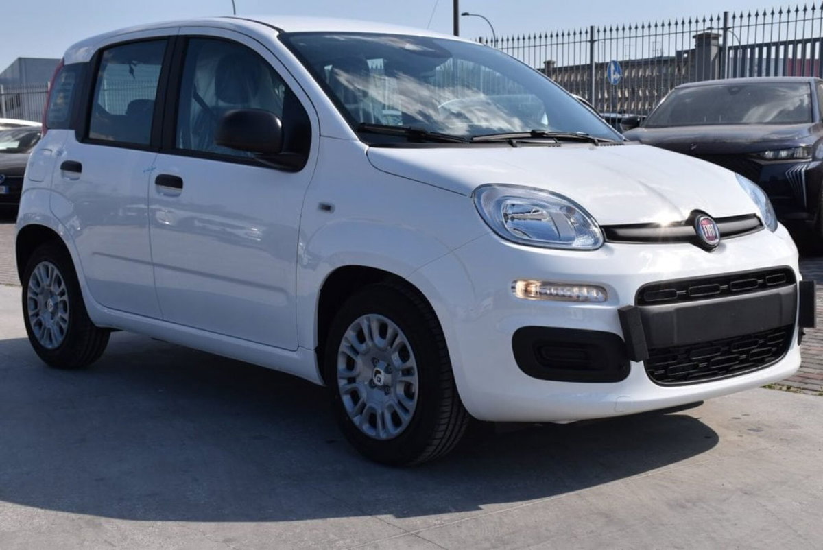 Fiat Panda Cross Cross 1.0 FireFly S&S Hybrid (3)