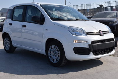 Fiat Panda Cross Cross 1.0 FireFly S&S Hybrid (3)