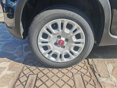 Fiat Panda Cross Cross 1.0 FireFly S&S Hybrid (12)