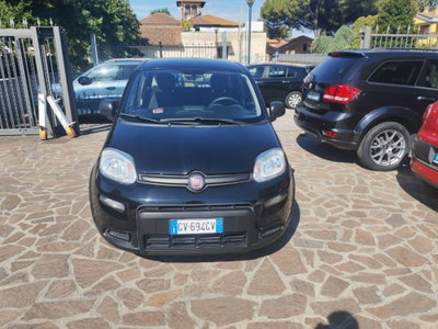 Fiat Panda Cross Cross 1.0 FireFly S&S Hybrid (2)