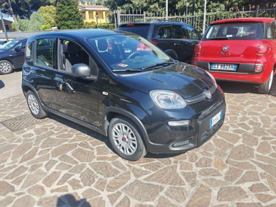 Fiat Panda Cross Cross 1.0 FireFly S&S Hybrid (3)