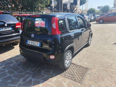Fiat Panda Cross Cross 1.0 FireFly S&S Hybrid (4)