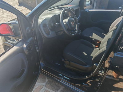 Fiat Panda Cross Cross 1.0 FireFly S&S Hybrid (8)