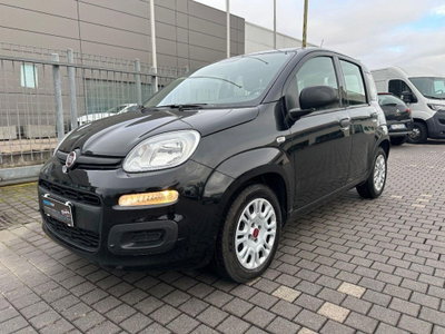 Fiat Panda 1.0 FireFly S&S Hybrid Easy (3)