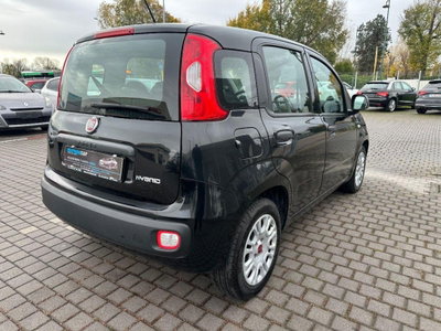 Fiat Panda 1.0 FireFly S&S Hybrid Easy (7)